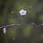 @user-cr4kz4lh4r