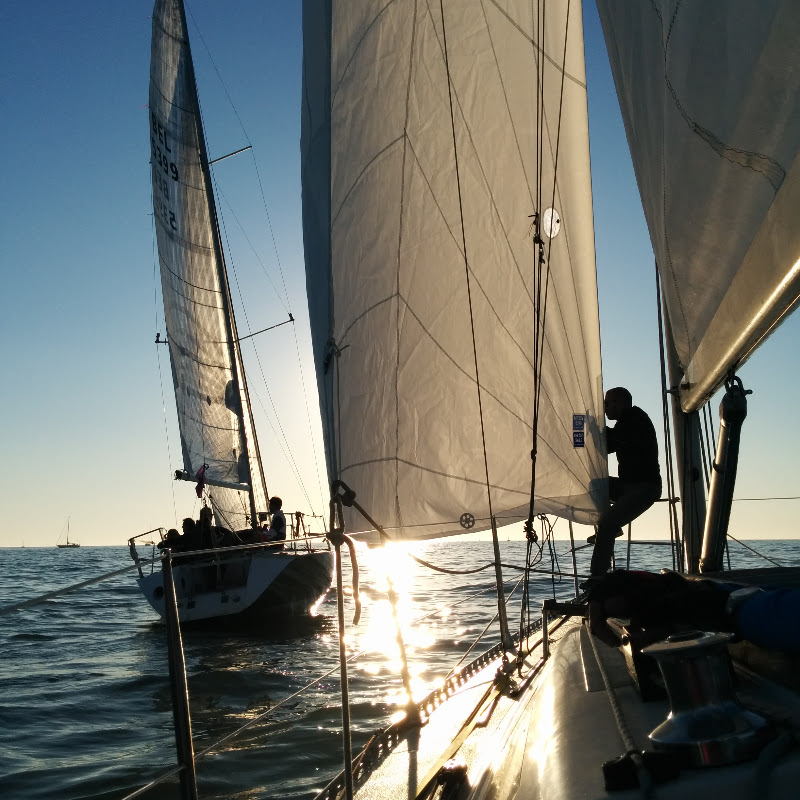 smartsailingboat8812