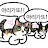 @담담담-g1y