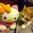 @MEOW-ys8jk's avatar