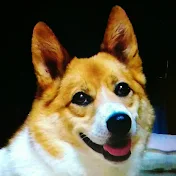 小ゆき