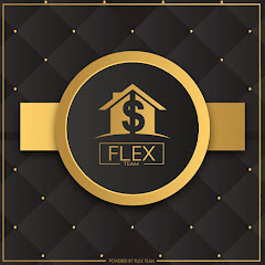 Flex Team net worth