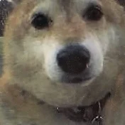 よっしーの占い