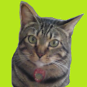 ルンルンにゃんこCat World