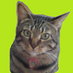 ルンルンにゃんこCat World