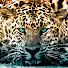 Channel Image