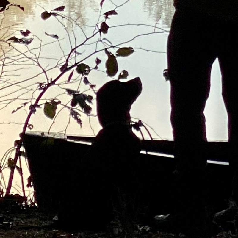 Exploring and Labradoring