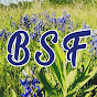 Blue Spring Farm logo