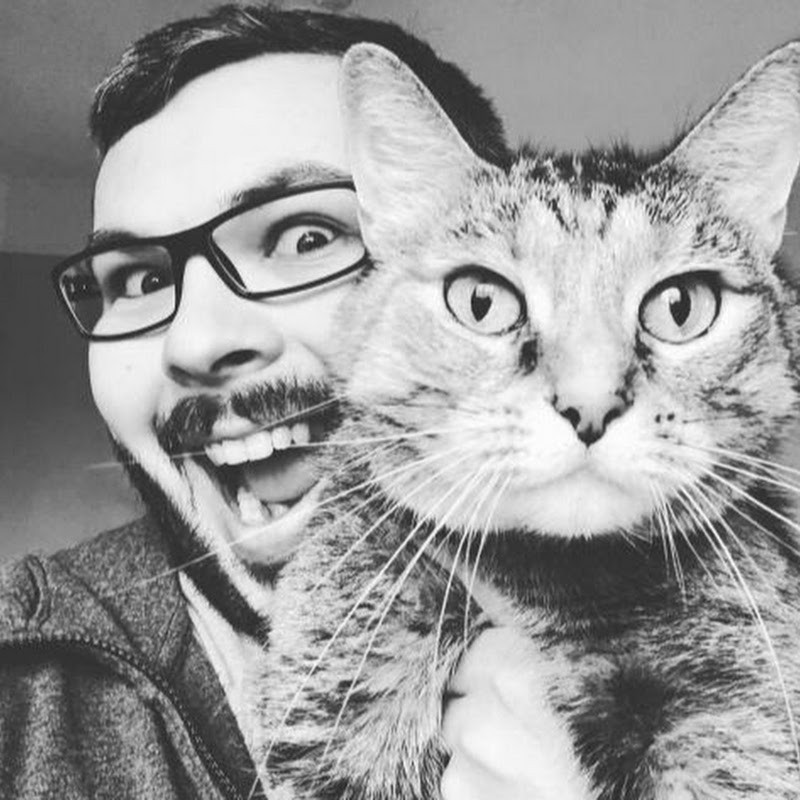 MattandCats