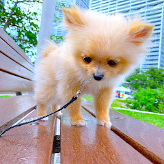 Maggie y Shanti Avatar