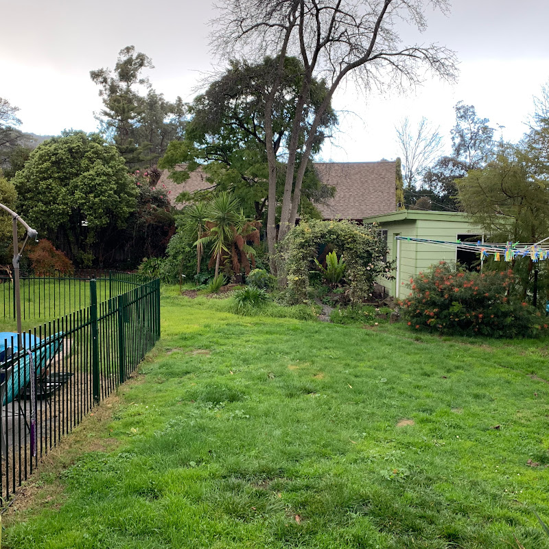 Ben's Backyard