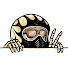 Author avatar: User photo of LNSPLTBLVD
