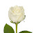 @ev6564 Avatar