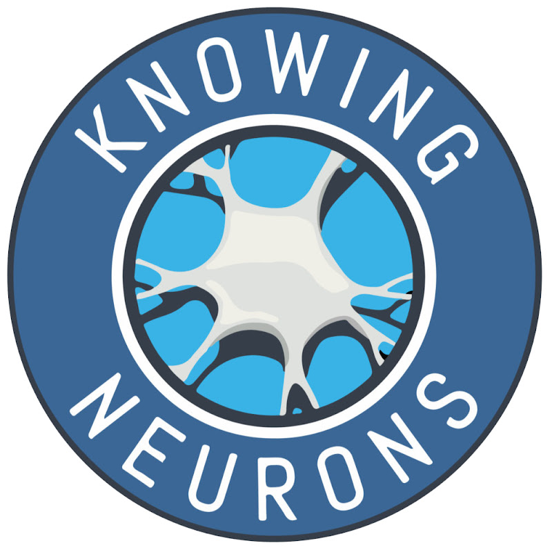 Knowing Neurons icon