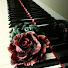 KP3RIcdPxOU-channel-avatar-Briar Rose