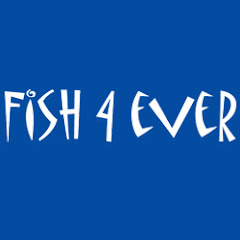 Fish4Ever