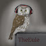 hF4zgAf4K-c-channel-avatar-TheEule