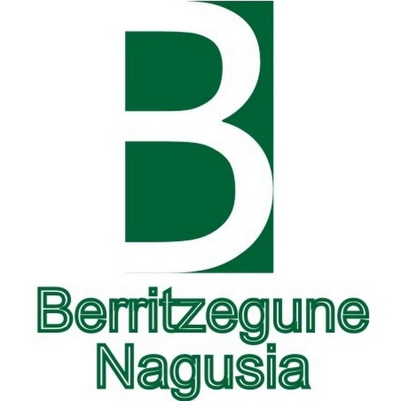 BerritzeguneNagusia icon