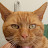 @huwthomas1042 Avatar