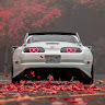Автор