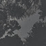 _HWRGKfSq3A-channel-avatar-soul gravity