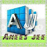 oB5vGpj27ps-channel-avatar-Anees Jee