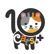 10 Cats.ᐩ