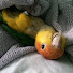 QTh770NEdzw-channel-avatar-clownishcaique
