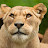 @paulhyland3528's avatar