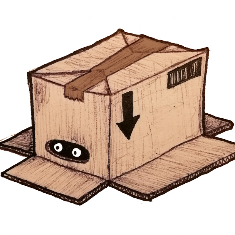 The Cardboard Box Item