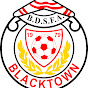 BDSFA TV logo