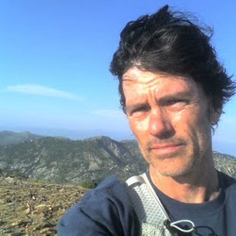 Steve Edwards