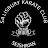 @SalisburyKarateClub Avatar