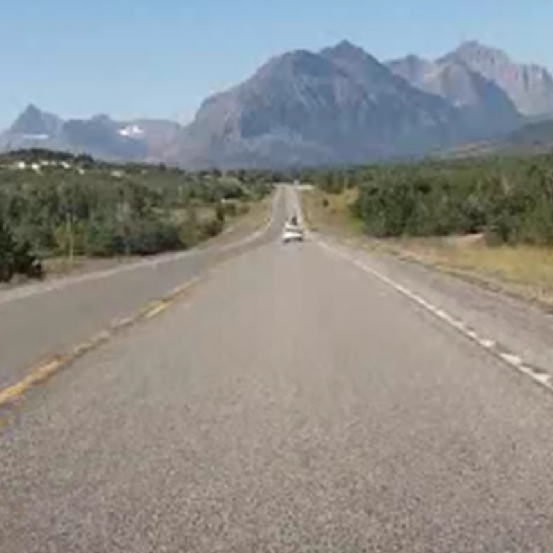 roadtripshoes
