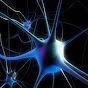 Penn Center for Neuroscience & Society Avatar