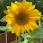 @wokeupandsmellthecoffee214 Avatar