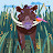 @suyashkataruka8620's avatar