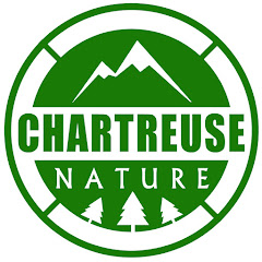 Chartreuse Nature Avatar