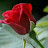 @apkhan5289