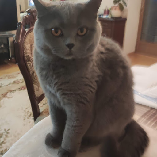 チャンネル画像