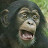 @michaelhaines3451 Avatar