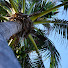 GMu8AyzCFzg-channel-avatar-JollyLife