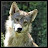 @DarkQwerzar's avatar
