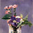 @user-gd9bo3sx7o