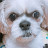@user-ky1id7pk3x