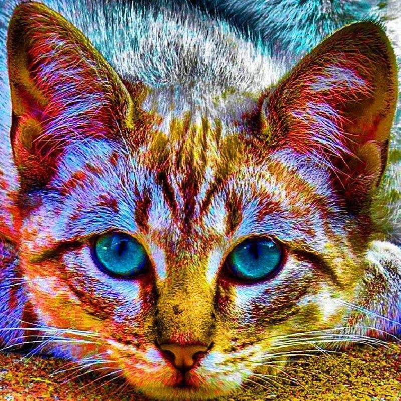 Channel Avatar