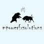 MPOWERFXSOLUTIONS logo
