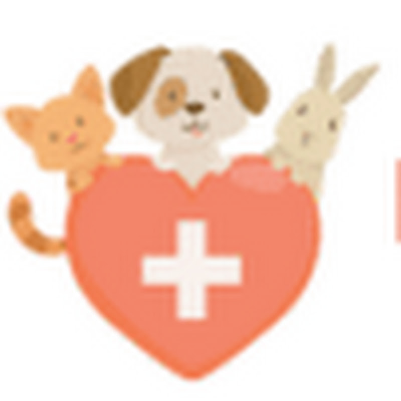 Keep Your Pets Healthy