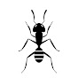 ANT logo