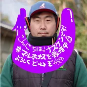 野菜農家ナスケンch